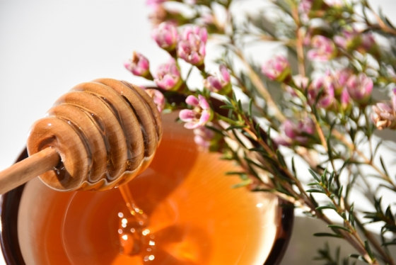 miere-de-manuka-proprietati-antivirale