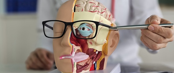 Oftalmoplegia