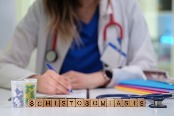 schistosomiaza-cauze-simptome-tratament