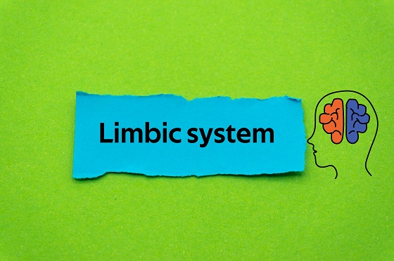 Sistem-limbic