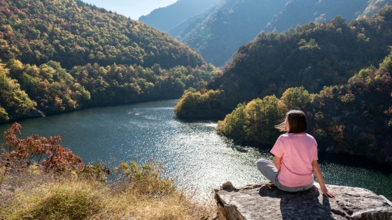 timp-in-natura