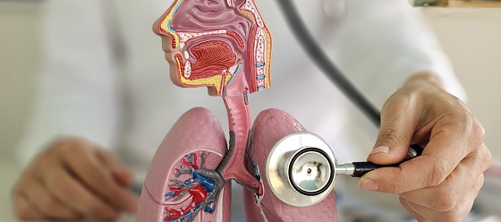 Traheobronsită