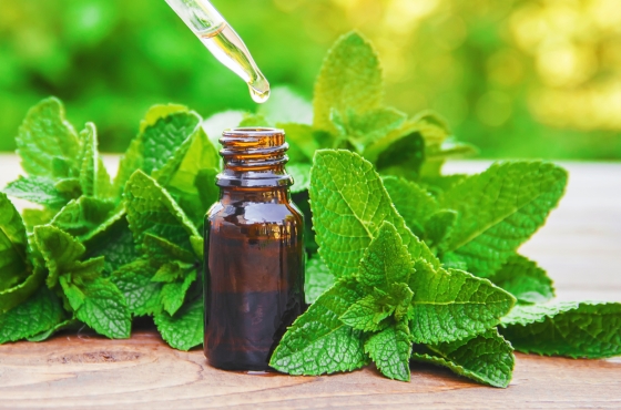 Ulei de menta: utilizari si beneficii