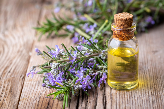 7 Unbelievable Rosemary Oil Benefits for Your Skin