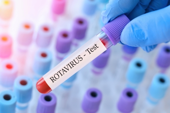 ce-este-rotavirusul