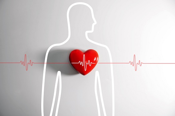 Valve-cardiace