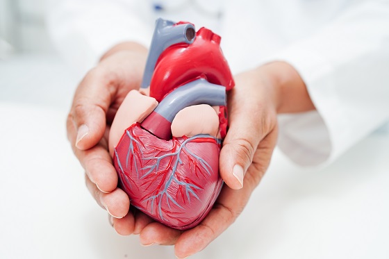 bolile cardiovasculare