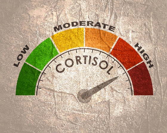 cortisol