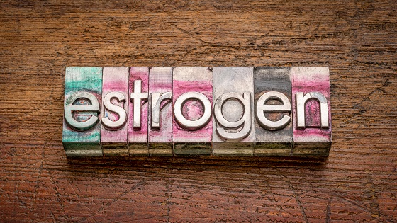 estrogen