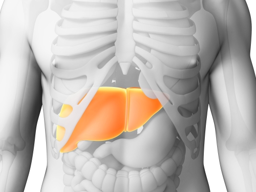 Sarcoidosis and the Joints, Muscles and Bones - SarcoidosisUK