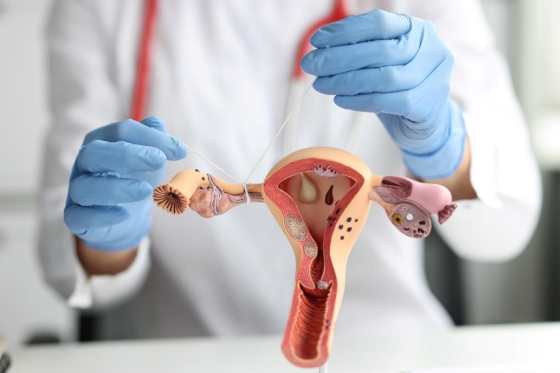 embryos fiv trompe