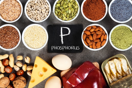 fosfor-alimente