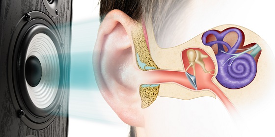 infectie-osului-mastoid