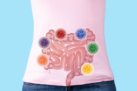 ce este microbiomul intestinal
