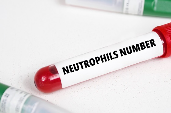 neutrofile-le