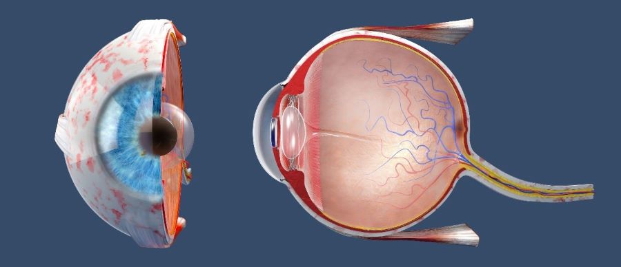 Simptomul de ochi rosu: cauze si tratament