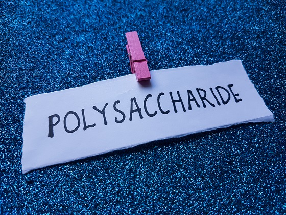 polizaharide