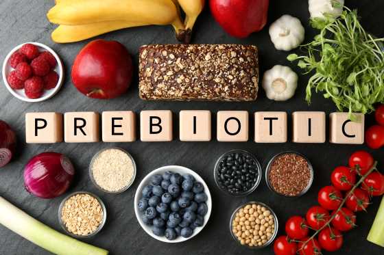 prebiotic