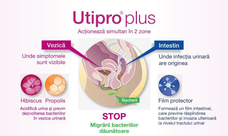 vaccin infectii urinare