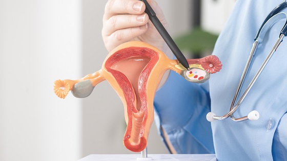 trompe-uterine