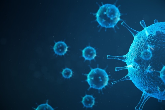infecții cauzate de viruși și paraziți bacterieni krónikus gyulladások bél helminthiasis kezelése
