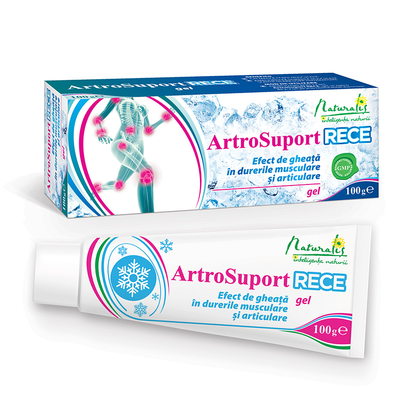 Naturalis ArtroSuport RECE gel  X 100 g