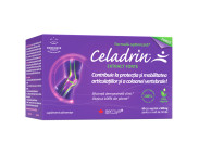 Celadrin extract forte X 60 capsule