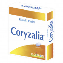 Coryzalia, 40 drajeuri