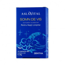 ASLAVITAL SOMN DE VIS, 30 capsule