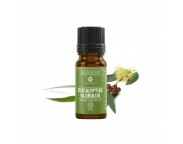 Mayam-Ulei esential de Eucalipt M-1030, 10 ml