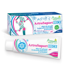 ArtroSuport RECE gel, 100 g, NATURALIS