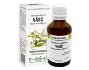 PLE Viscum album (mladite vasc) 50ml