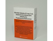 Flixotide (R) nebules (R) 0.5mg /2ml x 10fl.