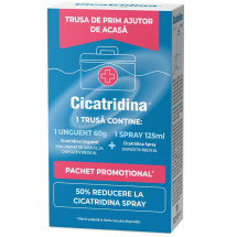 Pachet promotional Cicatridina unguent, 60 g + 50% reducere la Cicatridina spray,125 ml, Naturpharma