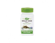 Secom Wild yam x 100cps.