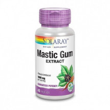 Secom Mastic Gum extract, protejeaza mucoasa stomacului, 45 capsule
