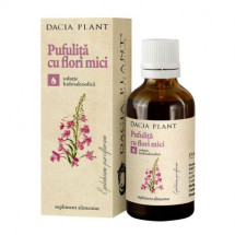 DAC.PL Tinctura pufulita cu flori mici 50ml