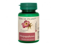 DAC.PL Harpagophytum x 60cpr