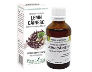 PLE Mladite lemn cainesc x 50 ml