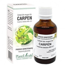 Extract din Muguri de Carpen, 50 ml, PLANT EXTRACT