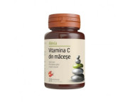 Alevia Vit C macese x 20 cp