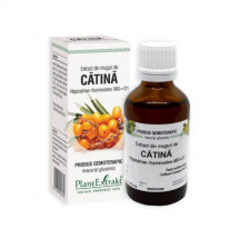 Extract din muguri de CATINA, 50 ml, PLANT EXTRACT