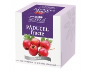 DAC.PL Ceai paducel fructe x 50 g       