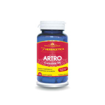 Artro + Curcumin 95 X 60 capsule 