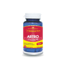Artro + Curcumin 95 X 60 capsule 