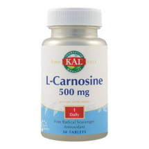 Secom L-Carnosine 500mg, 30 tablete ActivTab