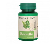 DAC.PL Boswellia x 60 cpr.