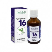 POLYGEMMA 16, Plamani - Detoxifiere, 50 ml, Plant Extrakt