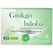 Ginkgo biloba, 20 capsule, NATURALIS