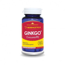Ginkgo + Curcumin 95, 120 capsule